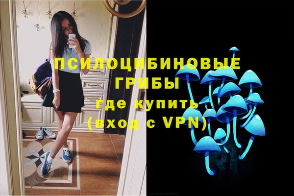 соль ск Аркадак
