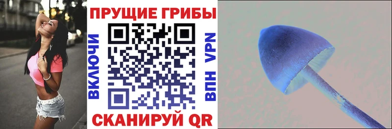 Псилоцибиновые грибы мухоморы  блэк спрут маркетплейс  Кирово-Чепецк 