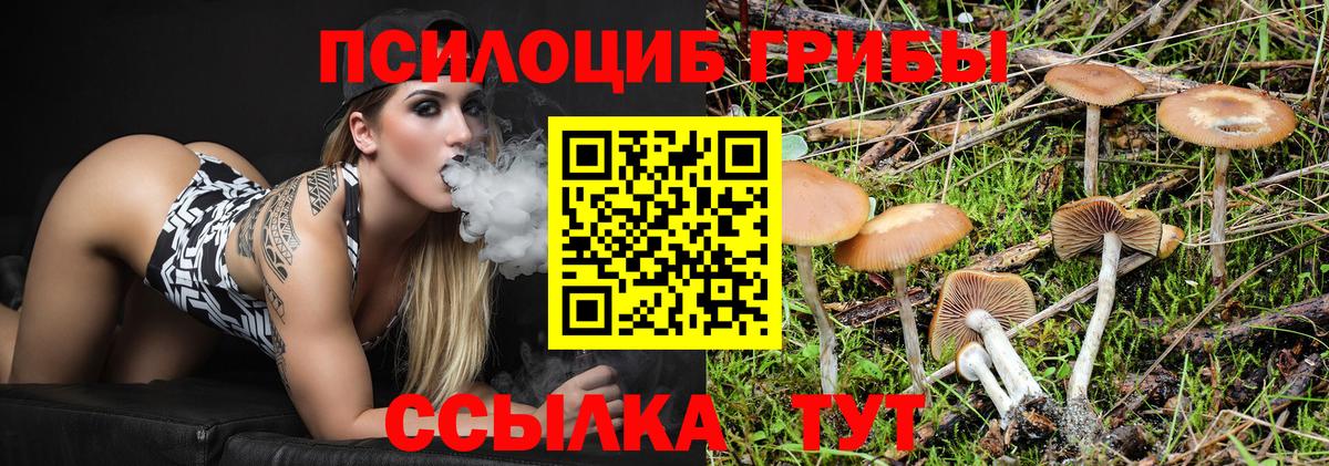 Псилоцибиновые грибы MAGIC MUSHROOMS Кирово-Чепецк